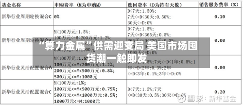 “算力金属	”供需迎变局 美国市场囤货潮一触即发-第1张图片