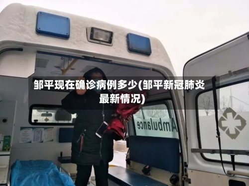 邹平现在确诊病例多少(邹平新冠肺炎最新情况)-第2张图片